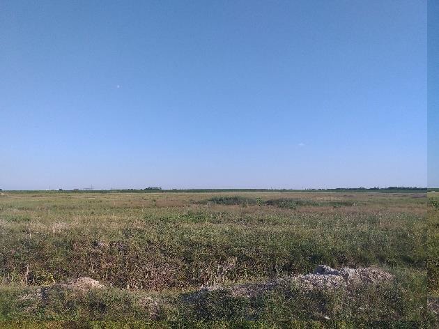 Teren extravilan 10.000 mp în Dudeștii Noi – vânzare prin licitație